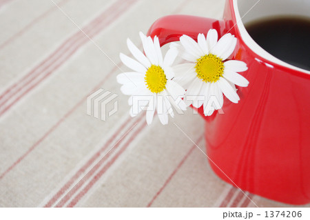 Marguerite-05 1374206