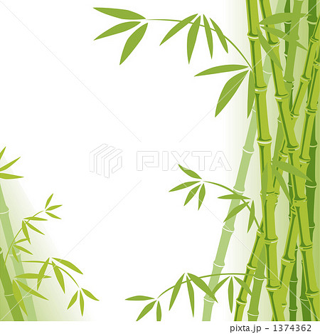 竹のイラスト素材