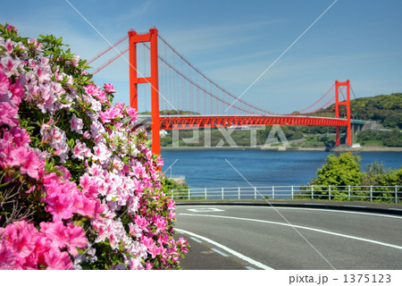 平戸大橋と平戸つつじ 1375123