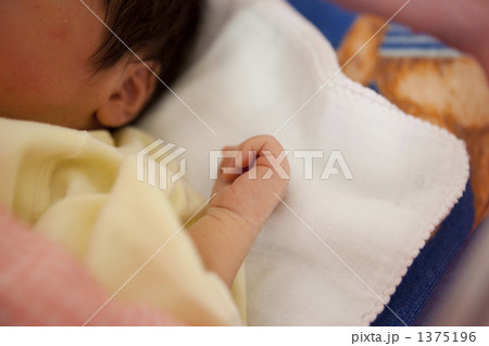 生後二日目 1375196