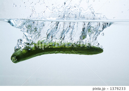 きゅうり 1376233