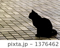 1376462