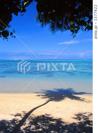 タヒチの海岸に伸びる椰子の木の影 タヒチの海岸に伸びる椰子の木の影 1377622