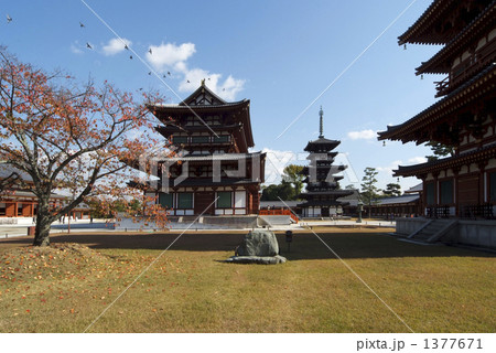 薬師寺金堂の秋景色 薬師寺金堂の秋景色 1377671