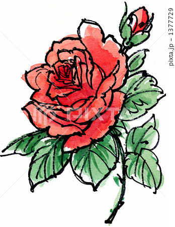ローズ（絵手紙風）のイラスト素材 [1377729] - PIXTA