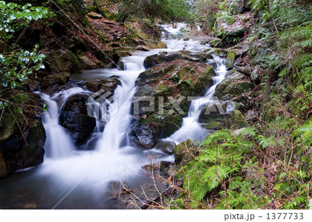 冬の夫婦滝(京都市山科区) 冬の夫婦滝(京都市山科区) 1377733