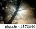 日差し 1378040