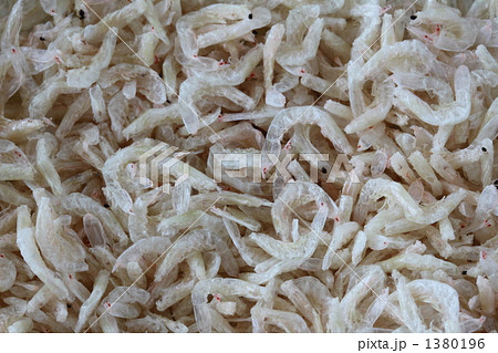 干あみえび 1380196