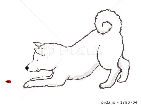 プリケツの白日本犬とテントウムシのイラスト素材