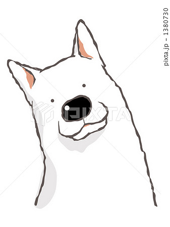 首をかしげる白日本犬のイラスト素材