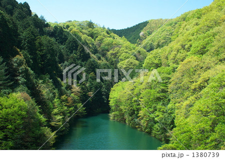 入り江の新緑ー１ 1380739