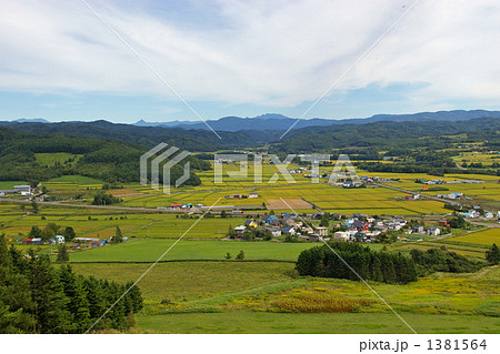 実りの秋の田園風景 実りの秋の田園風景 1381564