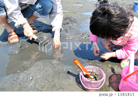 潮干狩りは楽しいな。(浜名湖弁天島) 潮干狩りは楽しいな。(浜名湖弁天島) 1381815