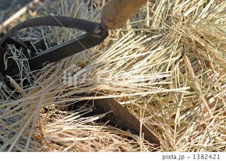 藁 藁 1382421