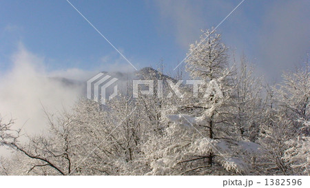 日光霧降高原の雪景色（２） 1382596