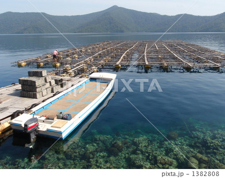 真珠養殖基地 1382808