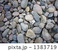 1383719