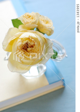 キャラメルアンティーク　ブルー 1383995