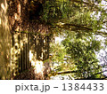 滝山東照宮　参道 1384433