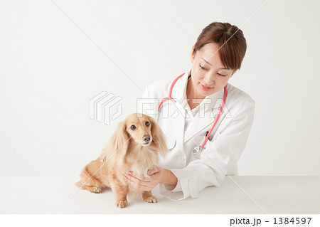 獣医 1384597