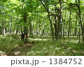 ハイキング 1384752