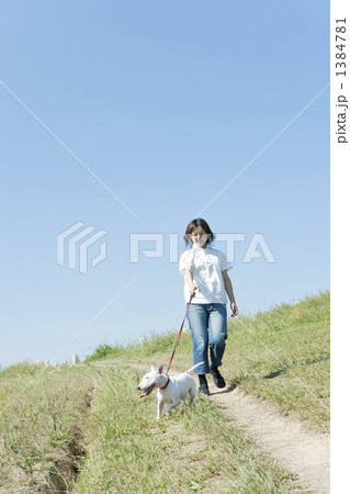 犬と散歩する若い女性 犬と散歩する若い女性 1384781