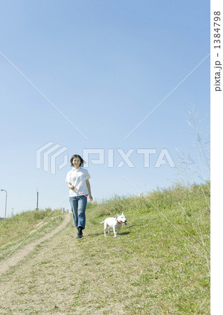 犬と散歩する若い女性 1384798