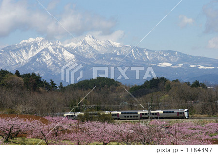 桃畑を走るＪＲ中央線特急列車１ 1384897
