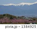 御坂の桃畑と南アルプス２ 1384925