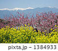 御坂の桃畑と南アルプス４ 1384933