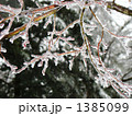 雨氷１ 1385099