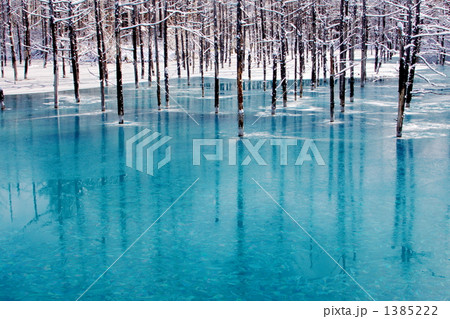 青い池 1385222
