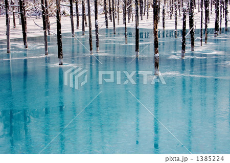 蒼い池 蒼い池 1385224