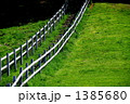 散歩道 1385680
