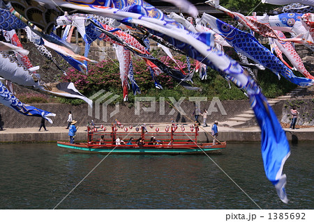 河川のこいのぼり 河川のこいのぼり 1385692