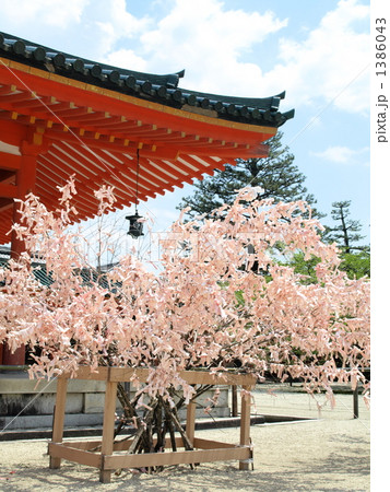 京都　平安神宮（桜みくじ） 1386043