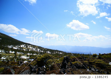 北八ヶ岳 北八ヶ岳 1386245