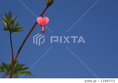 ハートと青空 1386553