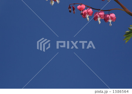 ハートと青空 1386564