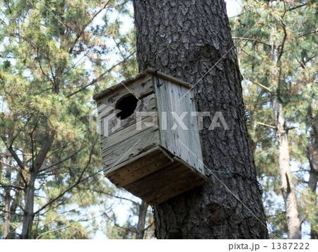 巣箱 巣箱 1387222