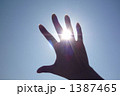 眩しー 1387465