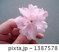 1387578