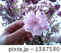 1387580