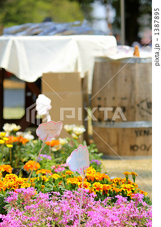 フラワーマーケット 1387895