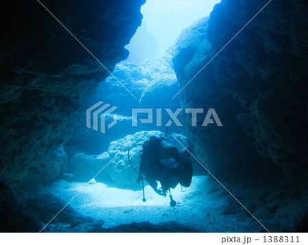 スキューバダイビング 1388311