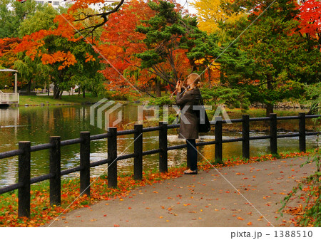 札幌中島公園の晩秋 札幌中島公園の晩秋 1388510