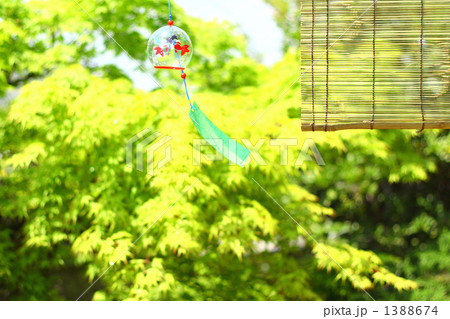 ゆれるガラスの風鈴とスダレのある庭 1 ゆれるガラスの風鈴とスダレのある庭 1 1388674