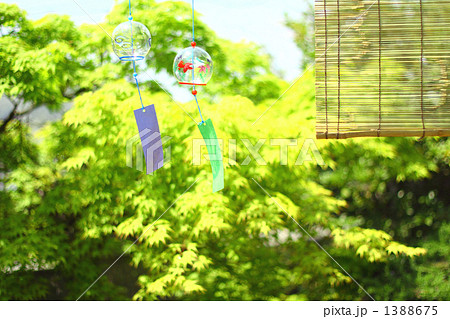 ゆれるガラスの風鈴とスダレのある庭 ２ 風鈴２個の写真素材