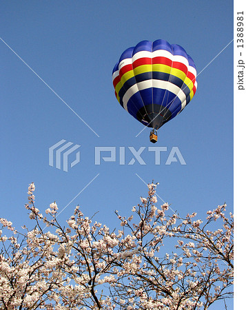 熱気球と桜 1388981