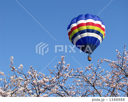 熱気球と桜 1388988